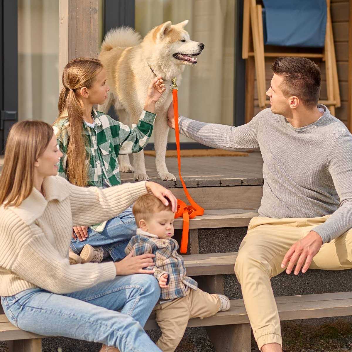 Waterproof K9 Working Dog Leash J4778