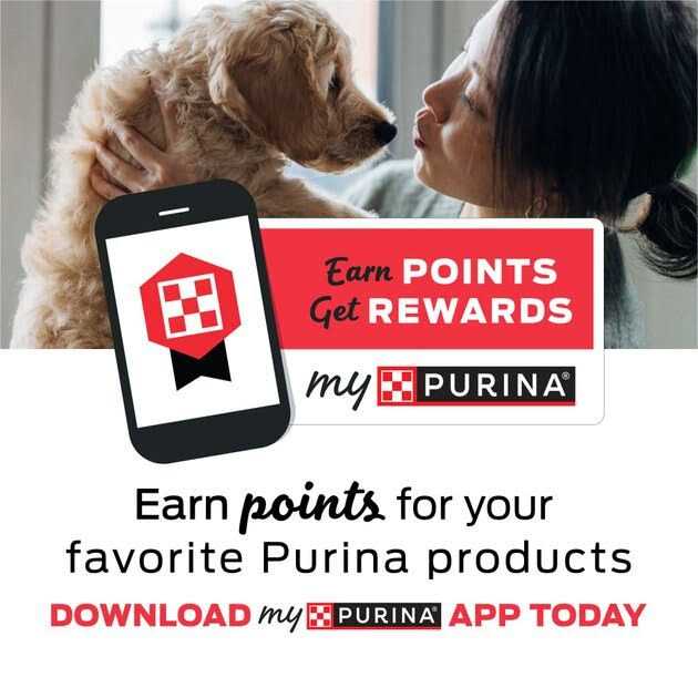 Chicken Feline Formula P317399
