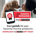 Chicken Feline Formula P317399