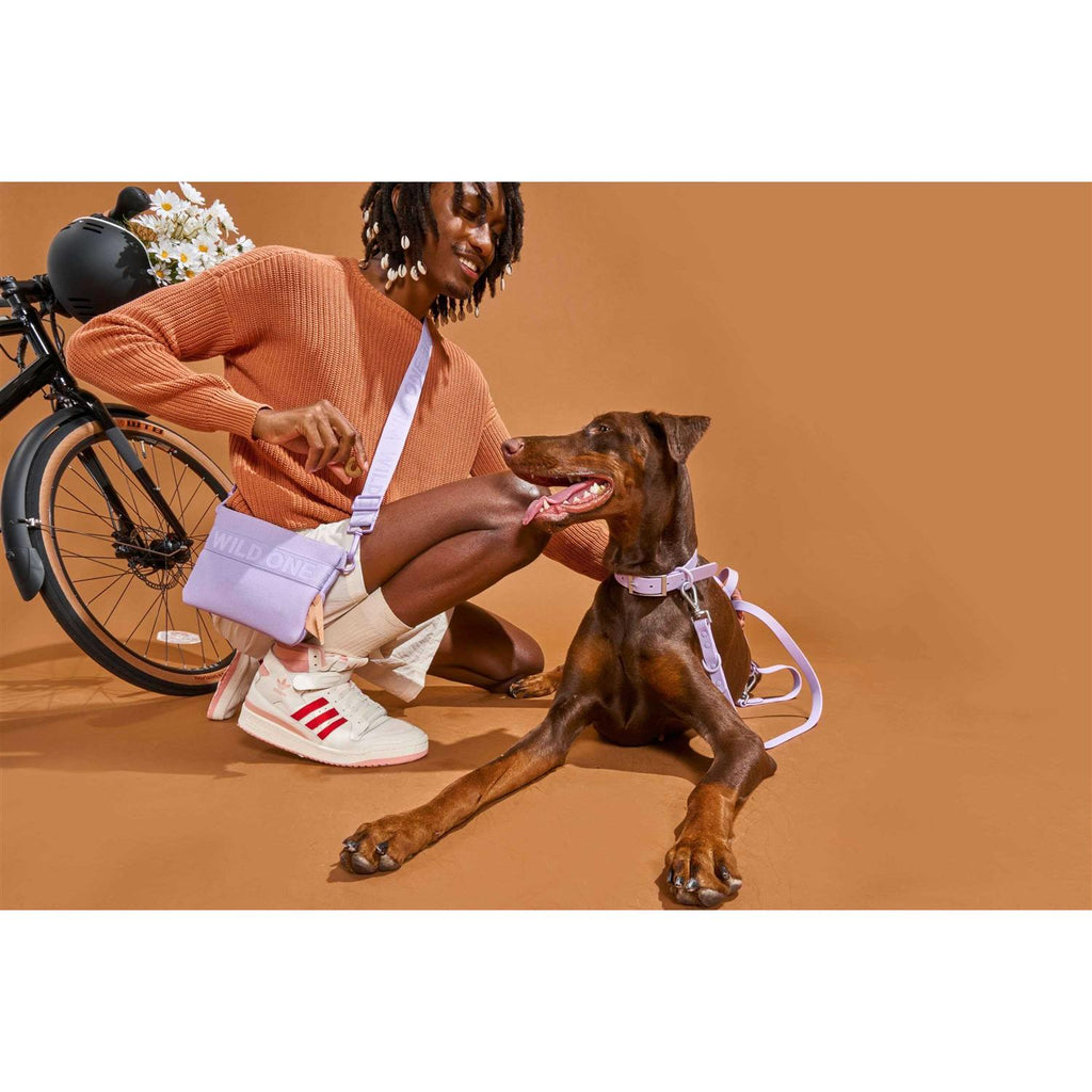 Treat Pouch Z345