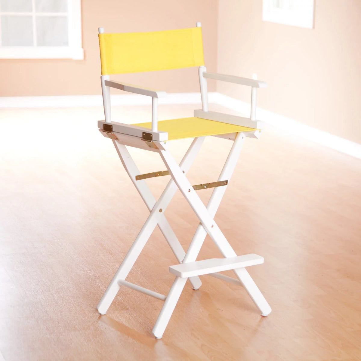 Director's Chair P52623