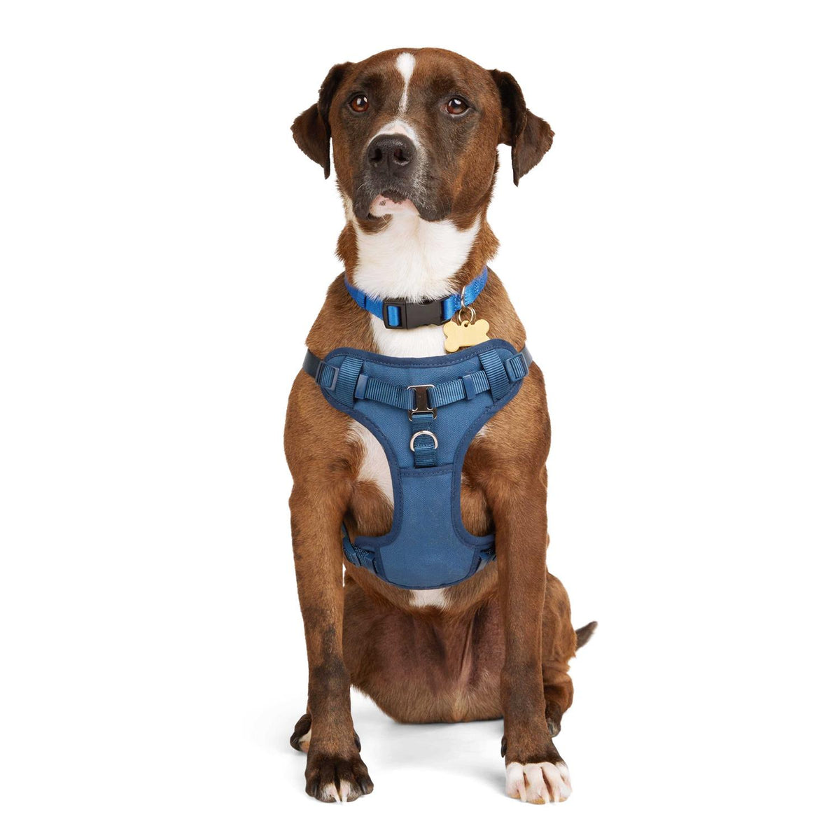 Padded Step-in Dog Harness O930