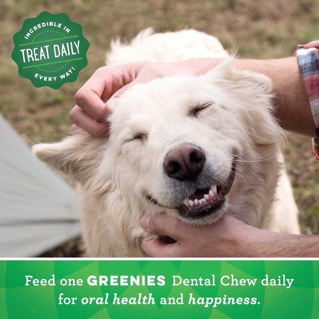 Dental Dog Treats W1647