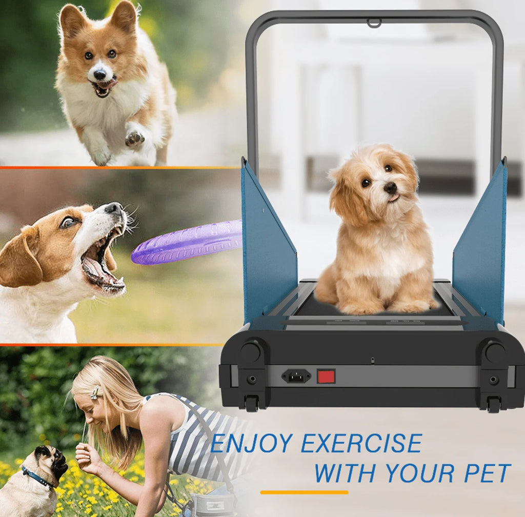 Black Dog Treadmill for Dogs up to 220 lb C977