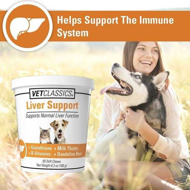 Liver Support Pet Supplies D6851
