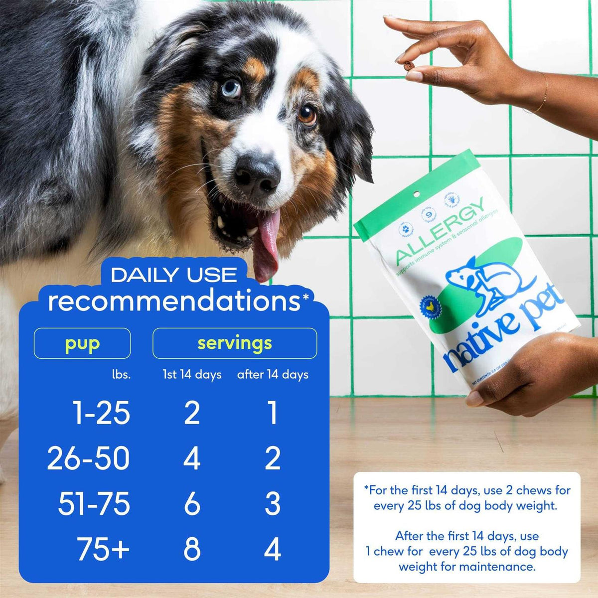 Allergy Chews for Dogs I267