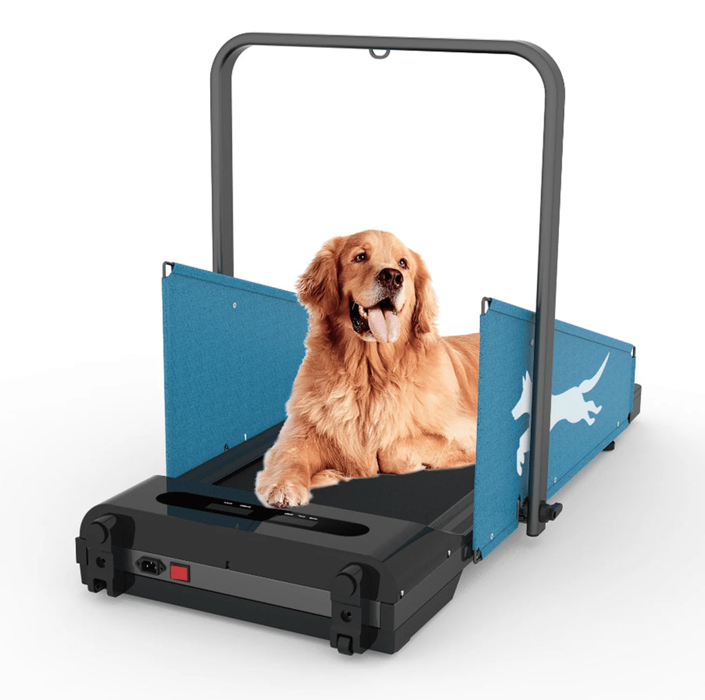 Black Dog Treadmill for Dogs up to 220 lb C977