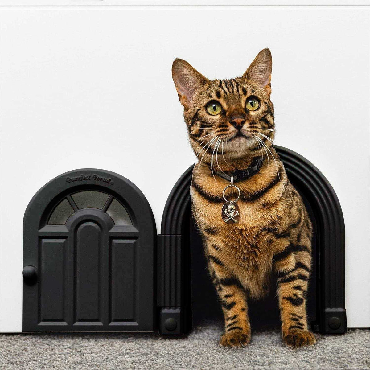 Interior Cat Door for Cats Up to 20 lbs H51608