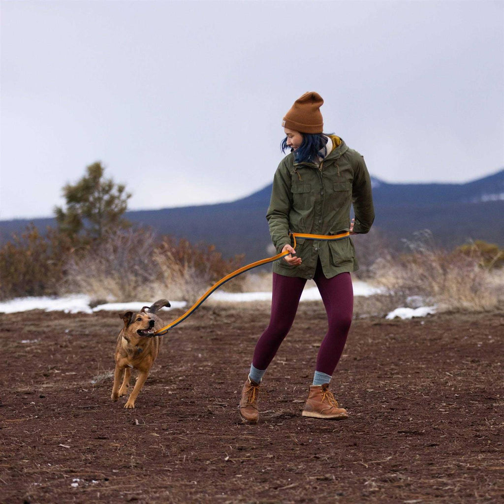 Leash X6349