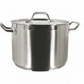 40 qt. Stock Pot with Lid I19863
