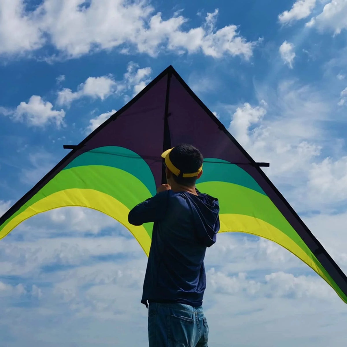 Black Green Giant Delta Kite S582