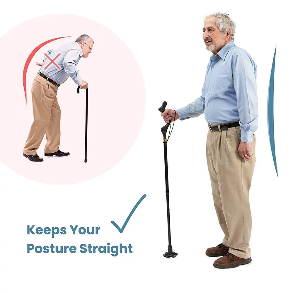 10 Adjustable Heights Self Standing Folding Walking Cane N572660
