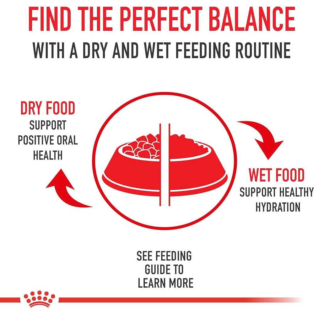 Medium Puppy Dry Dog Food J346