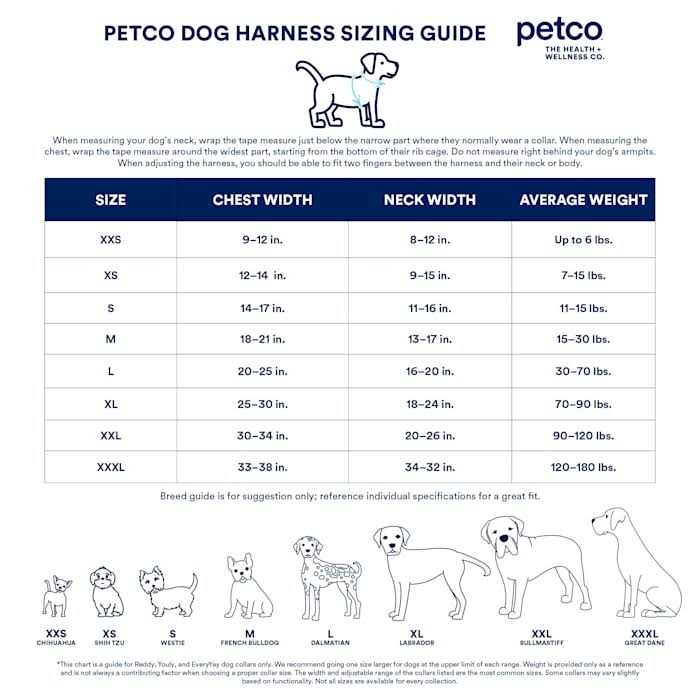 Padded Step-in Dog Harness O930