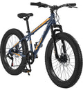 24 inch Mountain Bike with Fat Tires S515