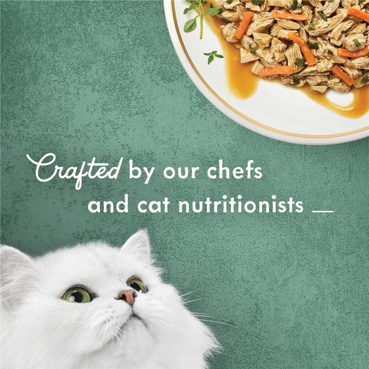 White Meat Chicken Recipe with Garden Veggies in Sauce Canned Cat Food U7129