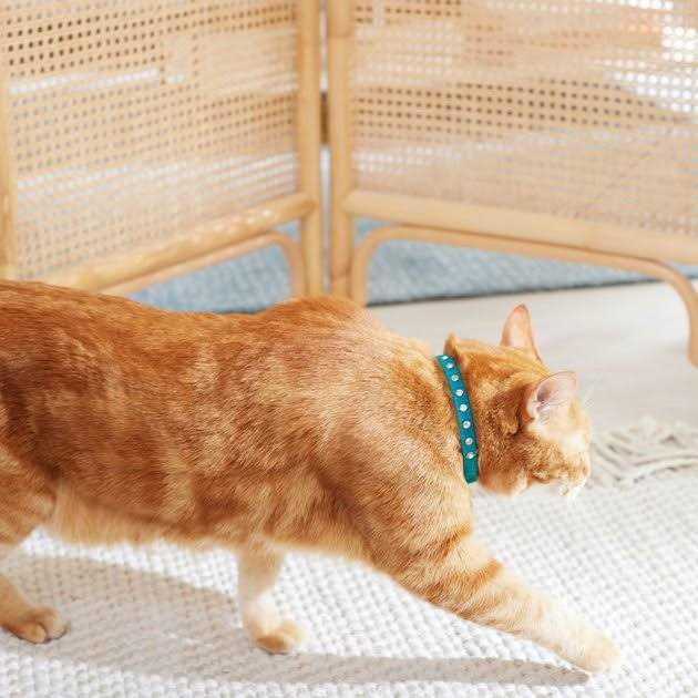 Velvet Cat Collar G9307