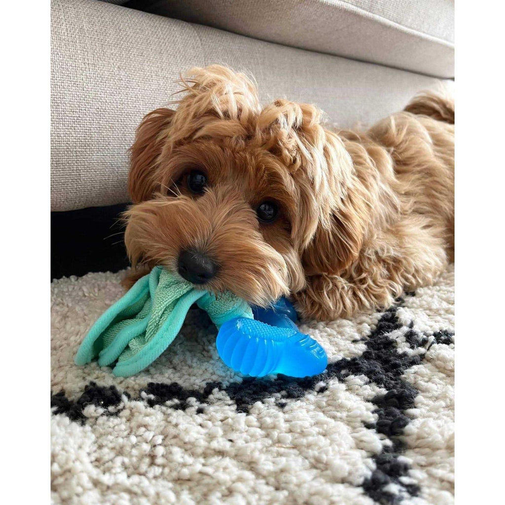 Peanut Butter Chew Puppy Toy K8985