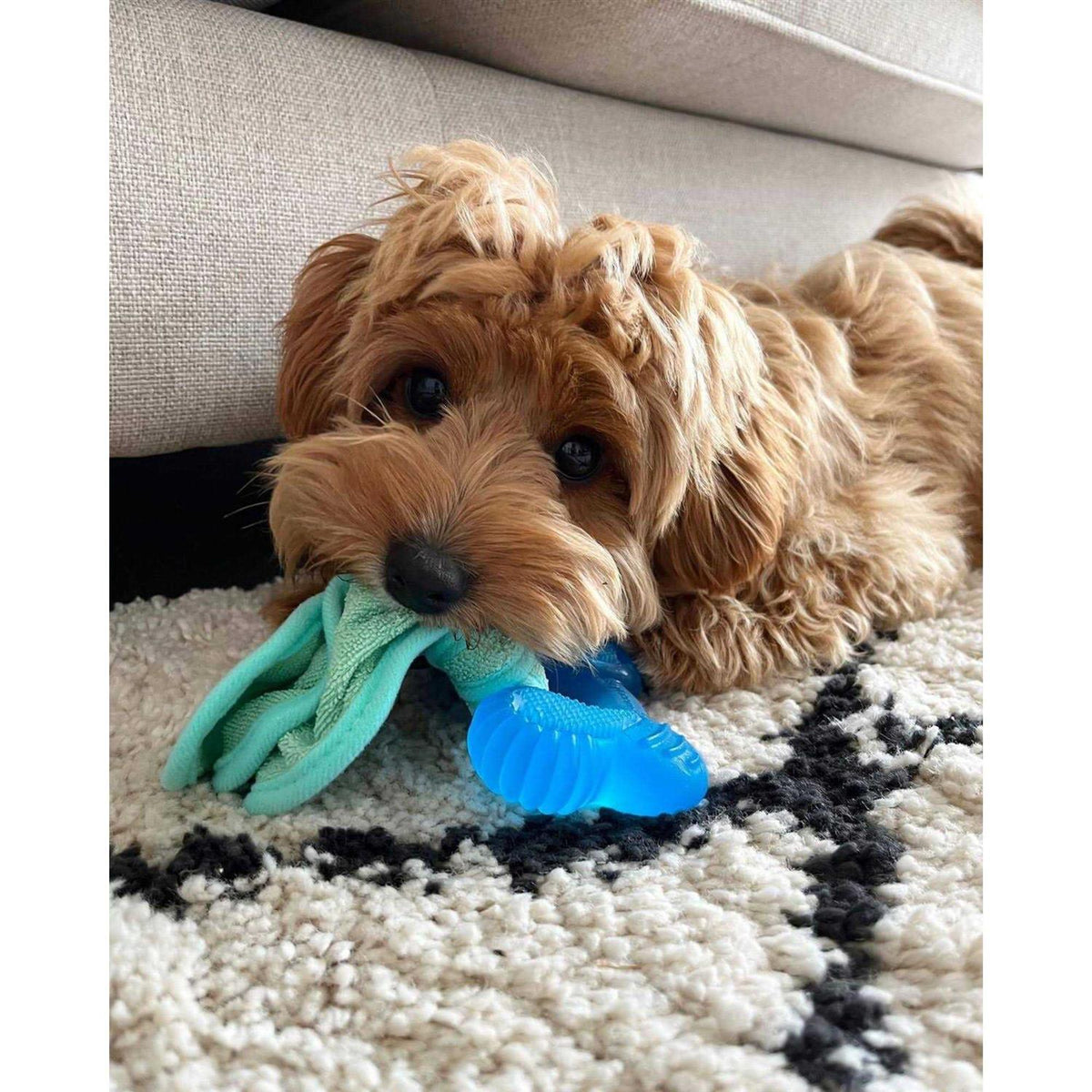 Peanut Butter Chew Puppy Toy K8985