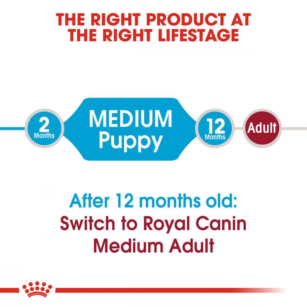 Medium Puppy Dry Dog Food J346